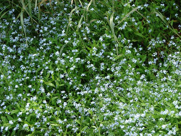 the east river valley 07102 115