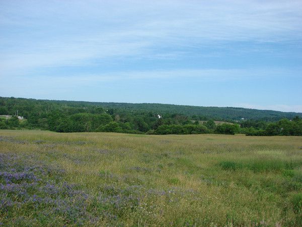 the east river valley 07203 116