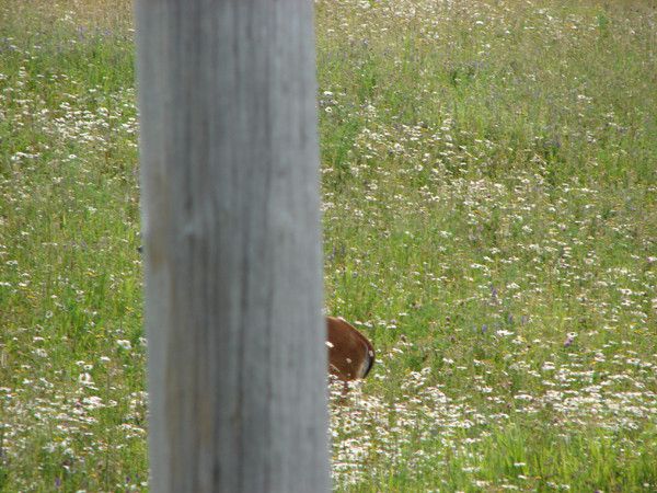 the east river valley 07910 123