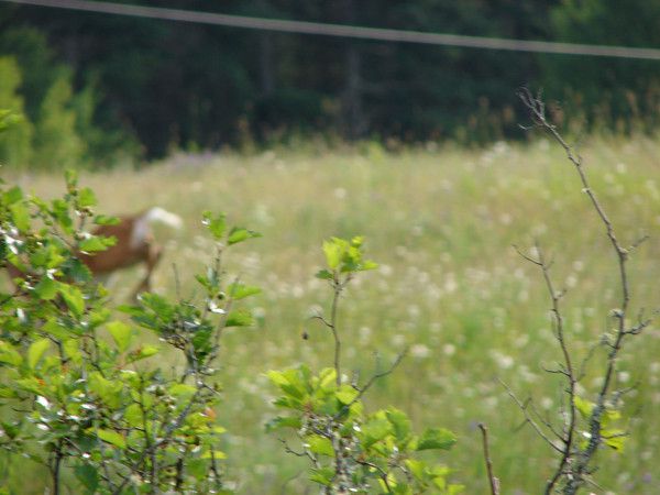the east river valley 08011 124