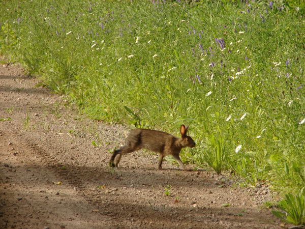 the east river valley 09816 129