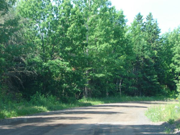 the east river valley 19618 75