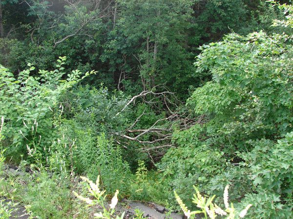 the east river valley 05615 201