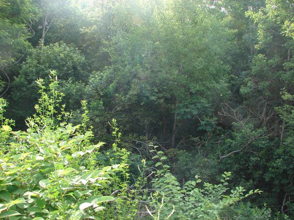 the east river valley 05817 203