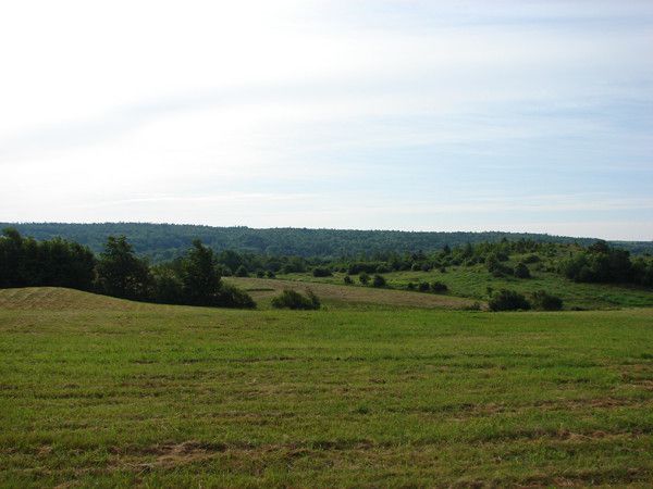 the east river valley 06221 207