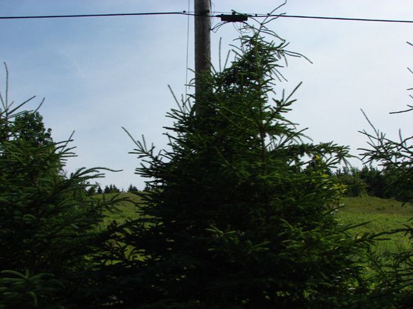 the east river valley 16807 221