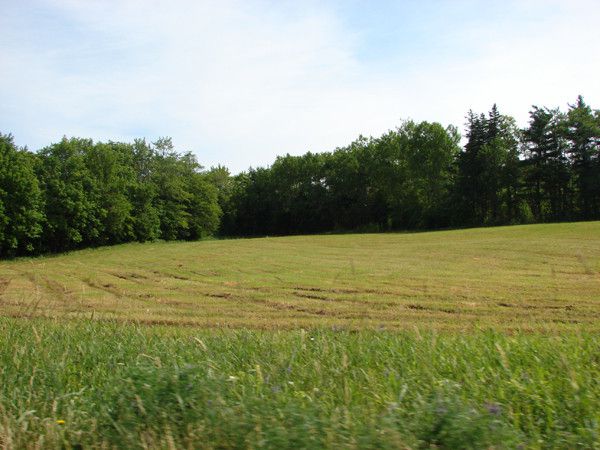 the east river valley 17817 214